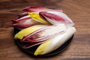 Taze organik Belçika endivi veya acı yeşil ve kırmızı hindiba marulu.