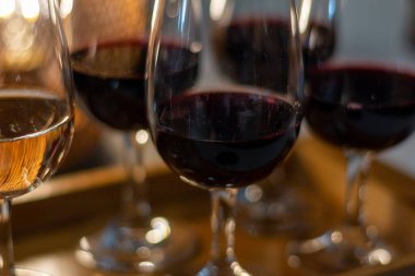 Tasting of variety of rioja wines, visit of winery cellars with french or american oak barrels with agening red wine, Rioja wine making region, Spain