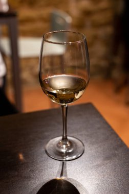 Tasting of different white rioja wines, visit of winery cellars, Rioja wine making region, Spain