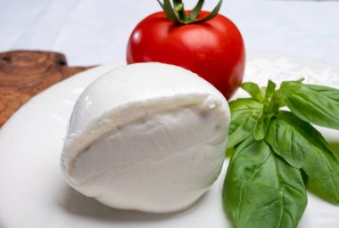 Beyaz İtalyan yumuşak peyniri Mozzarella di Bufala Campana topu taze yeşil fesleğen yaprakları ve kırmızı domatesle servis edilir.