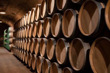Old french oak wooden barrels in underground cellars for wine aging process, wine making in La Rioja region, Spain
