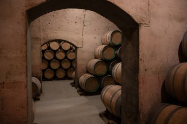 Old french oak wooden barrels in underground cellars for wine aging process, wine making in La Rioja region, Spain