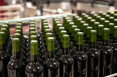 Bottling process of red and wite rioja wine on modern winery, wine making in La Rioja region, Spain