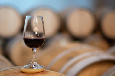 Tasting of variety of rioja wines, visit of winery cellars with french or american oak barrels with agening red wine, Rioja wine making region, Spain