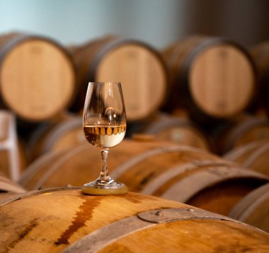 Tasting of variety of rioja wines, visit of winery cellars with french or american oak barrels with agening red wine, Rioja wine making region, Spain