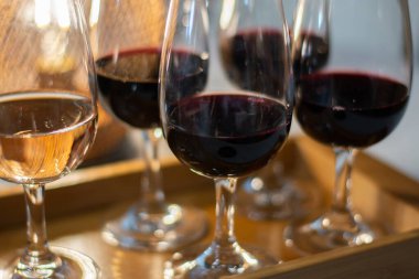 Tasting of variety of rioja wines, visit of winery cellars with french or american oak barrels with agening red wine, Rioja wine making region, Spain