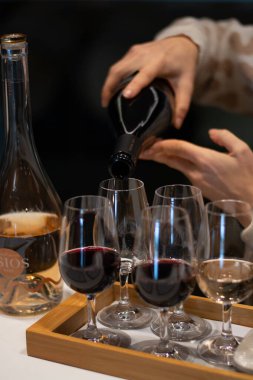 Tasting of variety of rioja wines, visit of winery cellars with french or american oak barrels with agening red wine, Rioja wine making region, Spain