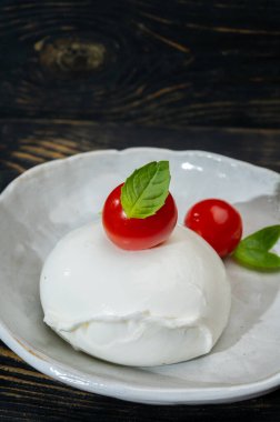 cheese collection, one big ball on soft white italian mozzarella bufala campania cheese with red tomato and green basil leaves on gray board