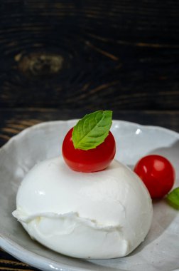 cheese collection, one big ball on soft white italian mozzarella bufala campania cheese with red tomato and green basil leaves on gray board