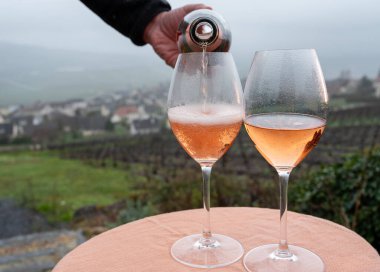 Tasting of premier cru sparkling rose wine with bubbles champagne outdoor with view on hilly pinot meunier vineyards in Hautvillers in rainy February, near Epernay, France.