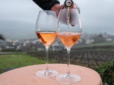 Tasting of premier cru sparkling rose wine with bubbles champagne outdoor with view on hilly pinot meunier vineyards in Hautvillers in rainy February, near Epernay, France.