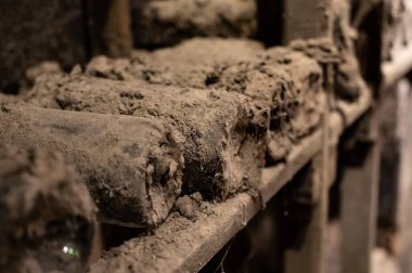 Keeping for years of old dusty bottles of red rioja wine in old underground cellars, wine making in La Rioja region, Spain