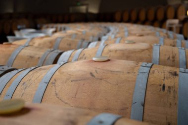 Rows of french and american oak barrels with red dry wine in cellars of winery in Rioja wine making region, Spain