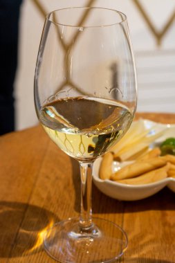 Tasting of different red and white rioja wines, visit of winery cellars, Rioja wine making region, Spain