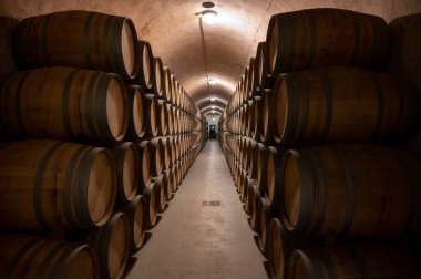 Old french oak wooden barrels in underground cellars for wine aging process, wine making in La Rioja region, Spain
