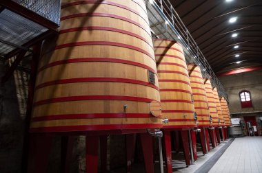 Modern large wooden barrels for wine fermentation process, red and white wine making in La Rioja region, Spain