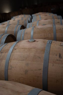 Rows of french and american oak barrels with red dry wine in cellars of winery in Rioja wine making region, Spain