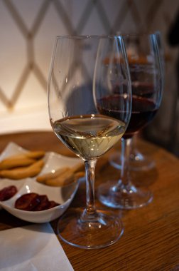 Tasting of different red and white rioja wines, visit of winery cellars, Rioja wine making region, Spain