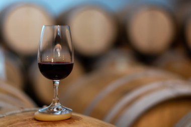 Tasting of variety of rioja wines, visit of winery cellars with french or american oak barrels with agening red wine, Rioja wine making region, Spain