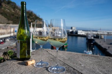 Peynir koleksiyonu, yumuşak beyaz İtalyan mozzarella bufala campania peynirli büyük bir top.