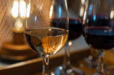 Tasting of variety of rioja wines, visit of winery cellars with french or american oak barrels with agening red wine, Rioja wine making region, Spain