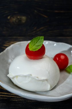Peynir koleksiyonu, yumuşak beyaz İtalyan mozzarella bufala campania peynirli büyük bir top.