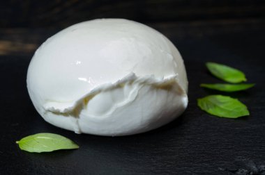 Peynir koleksiyonu, yumuşak beyaz İtalyan mozzarella bufala campania peynirli büyük bir top.