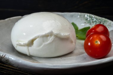 Peynir koleksiyonu, yumuşak beyaz İtalyan mozzarella bufala campania peynirli büyük bir top.