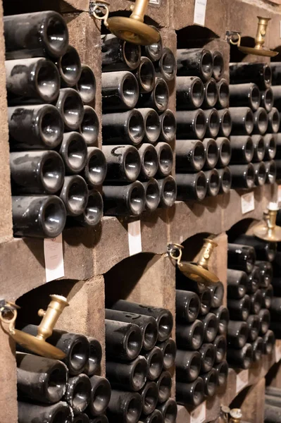 古い地下室での赤いリオハワインの古いほこりの多いボトルの年間を維持 ラリオハ地域でのワイン製造 スペイン — ストック写真