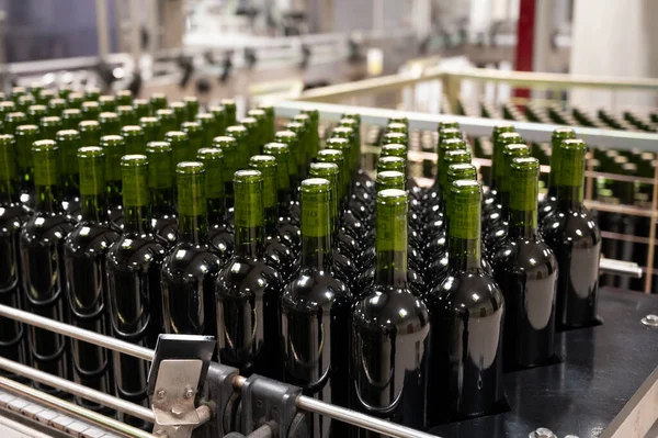 stock image Bottling process of red and wite rioja wine on modern winery, wine making in La Rioja region, Spain