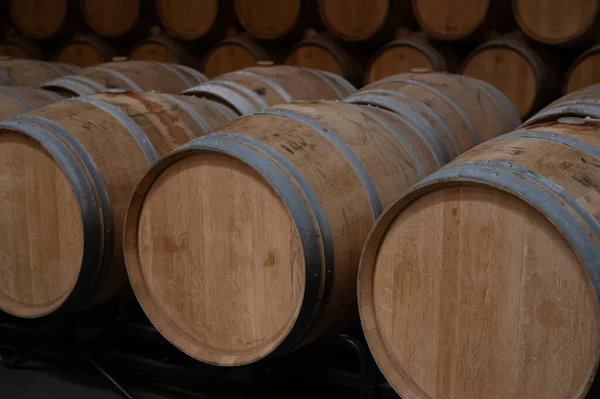 Rows French American Oak Barrels Red Dry Wine Cellars Winery — 스톡 사진