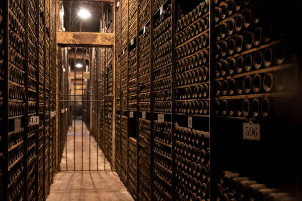 Keeping Years Old Bottles Red Rioja Wine Cellars Wine Making — Stock Fotó
