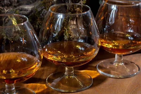 Proeverij Glazen Gerijpte Franse Cognac Brandewijn Alcoholische Drank Oude Kelders — Stockfoto