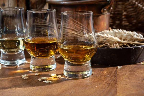 stock image Small tasting glasses with aged Scotch whisky on old dark wooden vintage table with barley grains close up