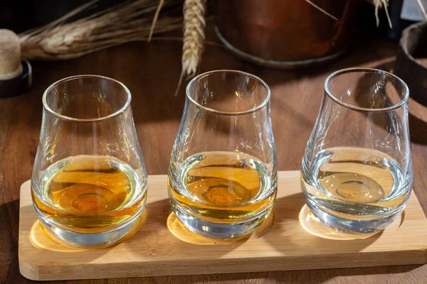 Stock image Speyside scotch whisky tasting glasses on old dark wooden vintage table with barley grains close up