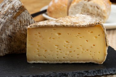 Fransız Alpleri, Fransa 'da inek sütünden yapılan tomme de savoie peyniri parçaları.