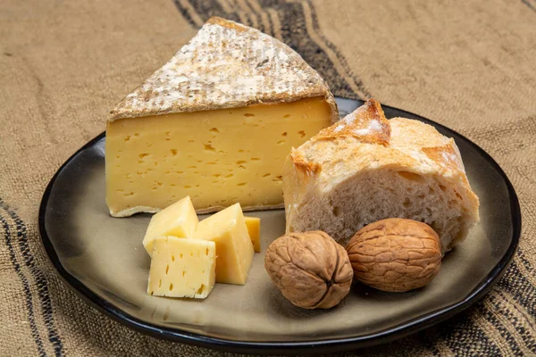 Fransız Alpleri Fransa Inek Sütünden Yapılan Tomme Savoie Peyniri Parçaları — Stok fotoğraf