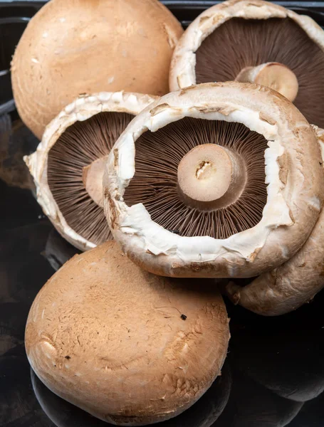 味道鲜美的素食 巨大的褐色龙头香双孢菇近身 — 图库照片