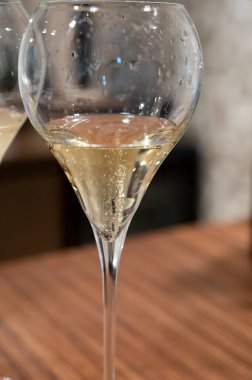 Reims yakınlarındaki Grand Cru şarap evinde soğuk brut şampanyası, köpüklü şarap kadehi, Fransa 'da şampanya turu.