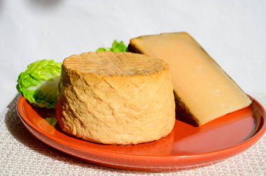 Spanish cheeses collection, pieces of smoked and old matured goat cheeses in sun lights