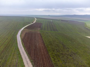 Winter cloudy aerial view on Val de Livre en gran cru vineyards of famous champagne houses in Montagne de Reims, Champagne, wine making in France
