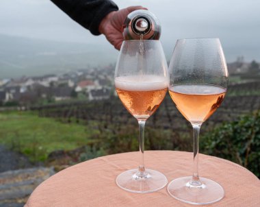 Tasting of premier cru sparkling rose wine with bubbles champagne outdoor with view on hilly pinot meunier vineyards in Hautvillers in rainy February, near Epernay, France.