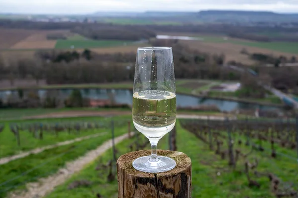 Glass of brut champagne sparkling wine with view on hilly pinot noir gran cru vineyards of famous champagne houses near Ay and Marne river in winter, Champagne, France