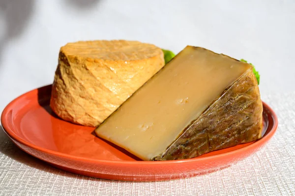 Spanish Cheeses Collection Pieces Smoked Old Matured Goat Cheeses Sun — Zdjęcie stockowe