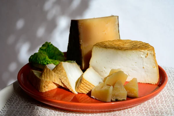 Spanish Cheeses Collection Pieces Smoked Old Matured Goat Cheeses Sun — Zdjęcie stockowe