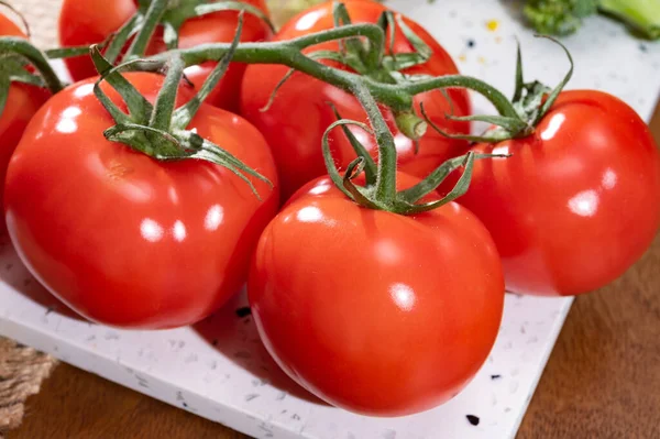 Red Ripe Tasty Dutch Tomatoes Growing Indoor Greenhouse All Seasons — Φωτογραφία Αρχείου