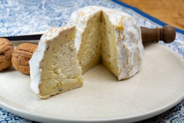 Peynir koleksiyonu, yumuşak inek Fransız peyniri küflü Gaperon zanaatkarlığı biberli ve sarımsaklı Auvergne, Fransa