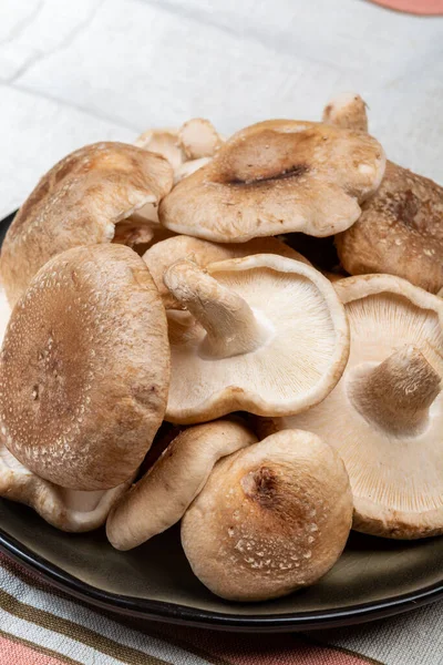 日本产的新鲜褐色香菇或芝麻可食蘑菇 可随时烹调 — 图库照片