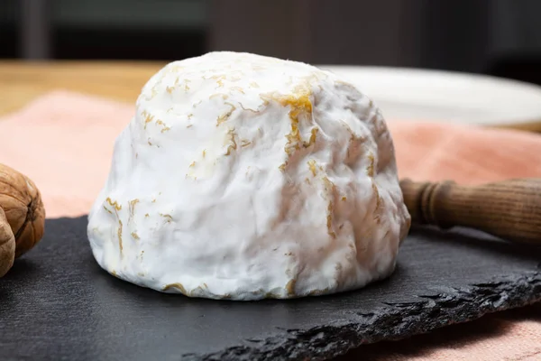 Peynir koleksiyonu, yumuşak inek Fransız peyniri küflü Gaperon zanaatkarlığı biberli ve sarımsaklı Auvergne, Fransa