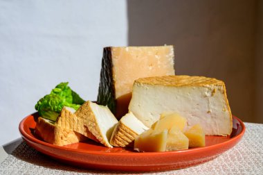 Spanish cheeses collection, pieces of smoked and old matured goat cheeses in sun lights